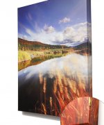 canvas-up-close